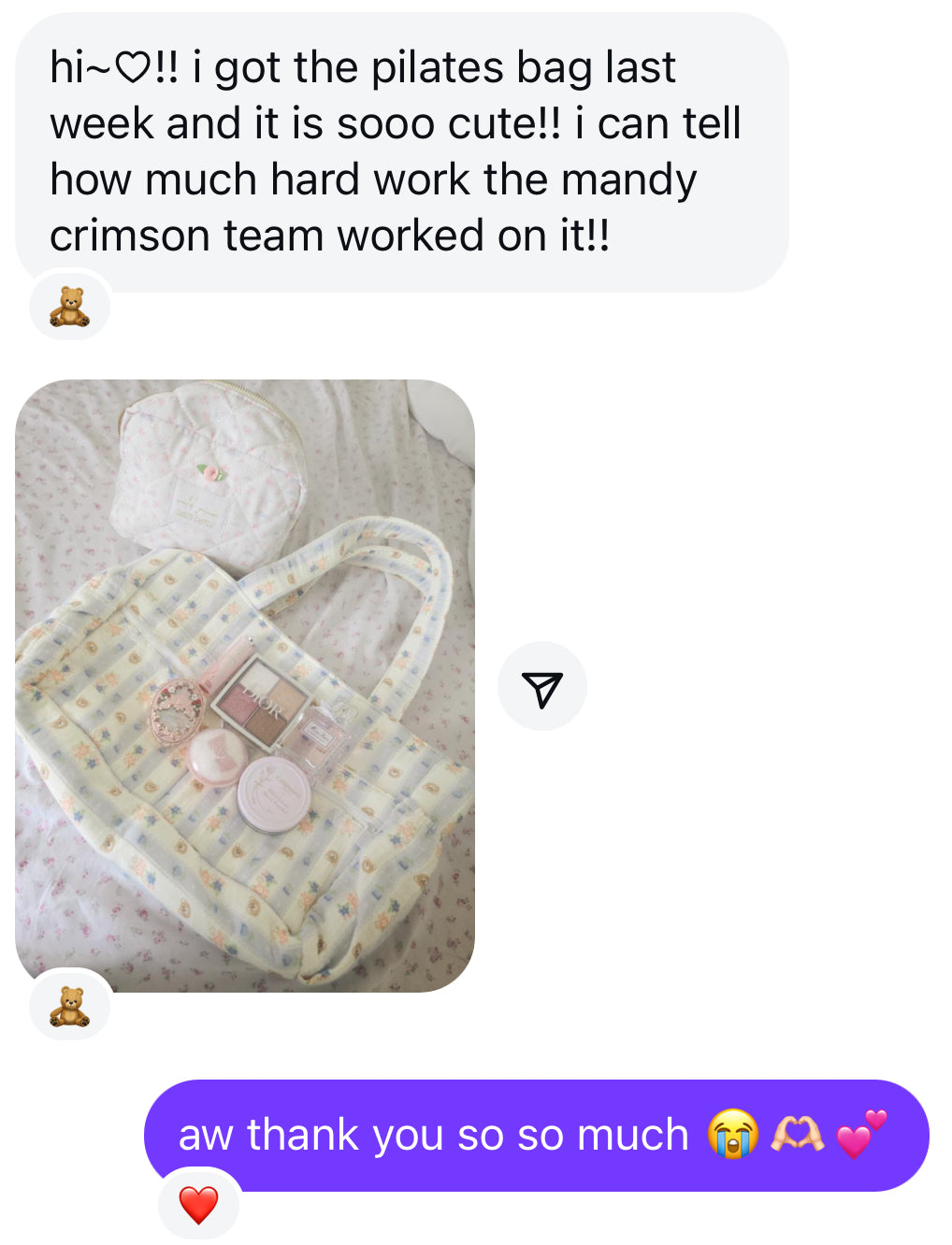 Teddy pilates bag